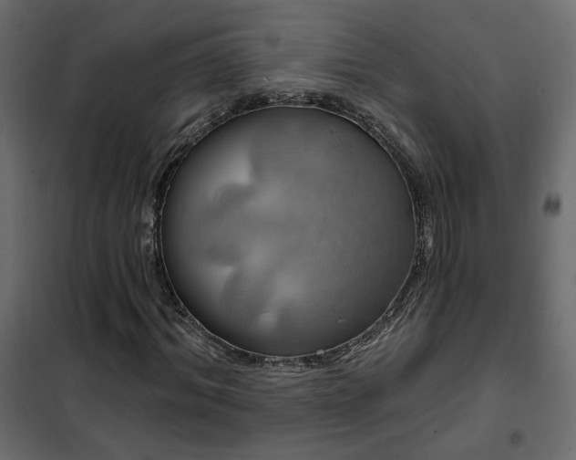 X0000102490964200808081325