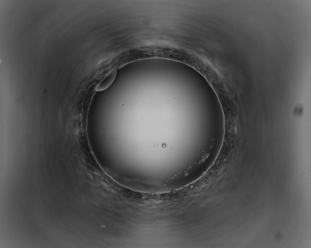 X0000102490965200808081325