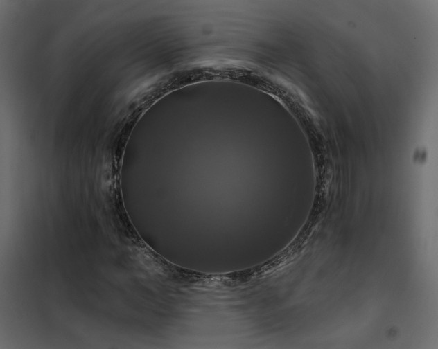 X0000102490966200808081325