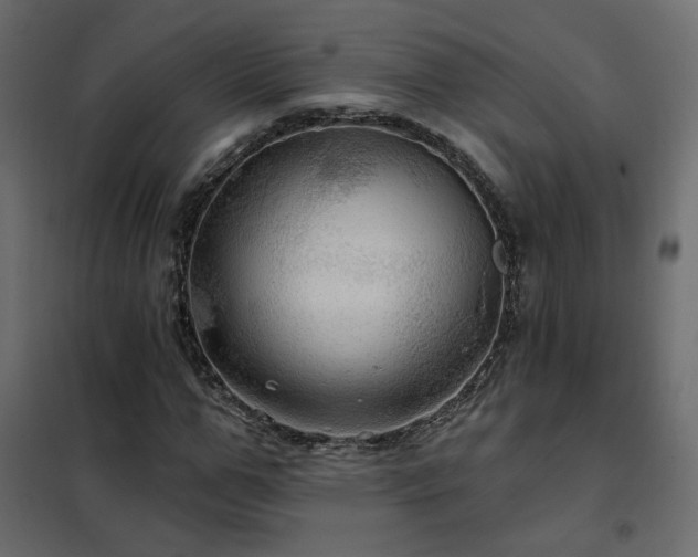 X0000102490967200808081325