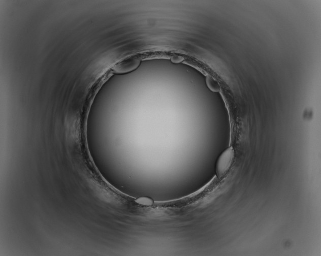 X0000102490969200808081325
