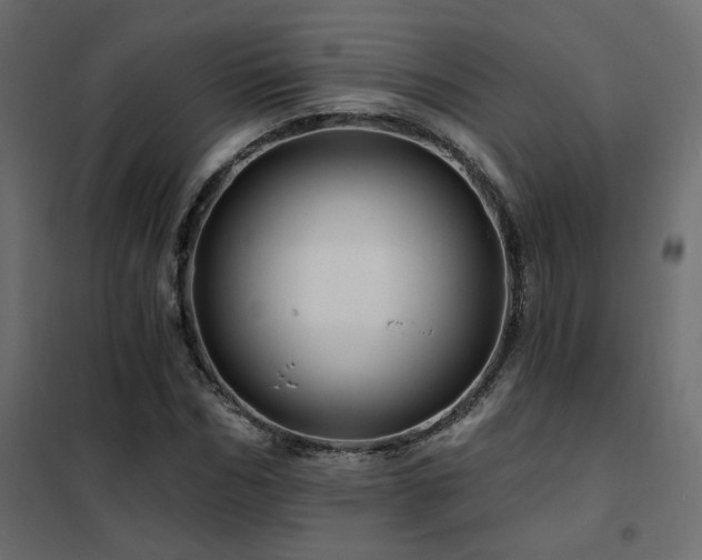 X0000102490970200808081325