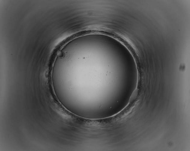 X0000102490971200808081325