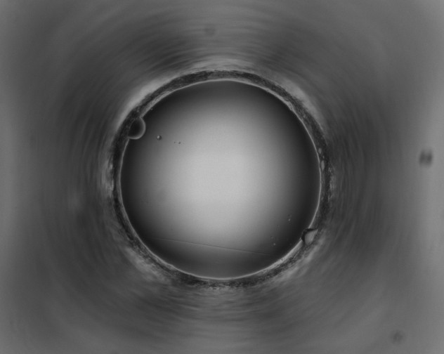 X0000102490973200808081325