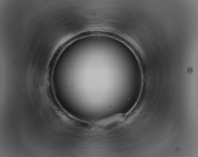 X0000102490974200808081325