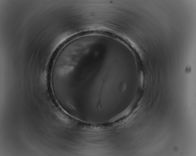 X0000102490975200808081325