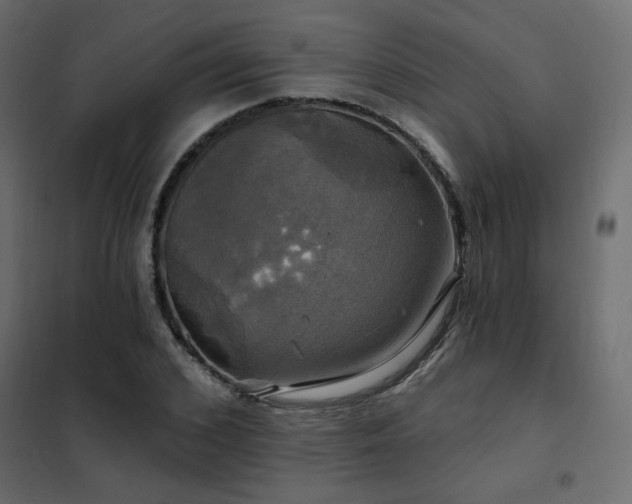 X0000102490976200808081325