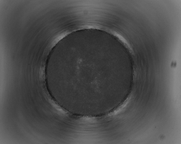 X0000102490977200808081325