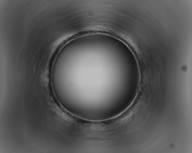 X0000102490979200808081324