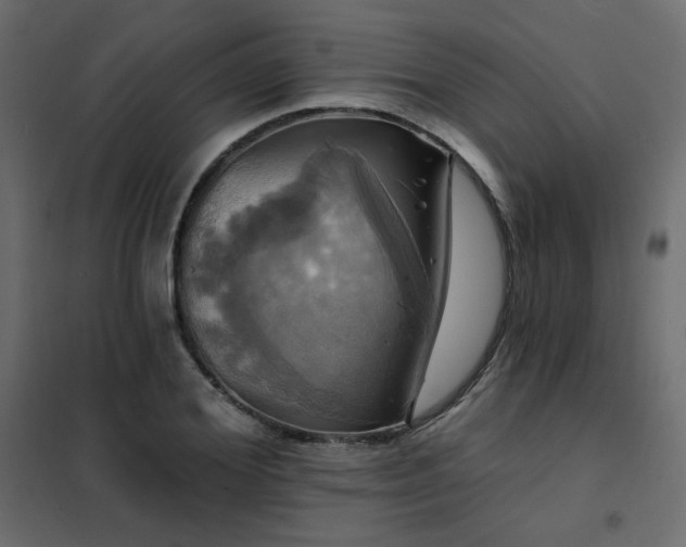 X0000102490980200808081324