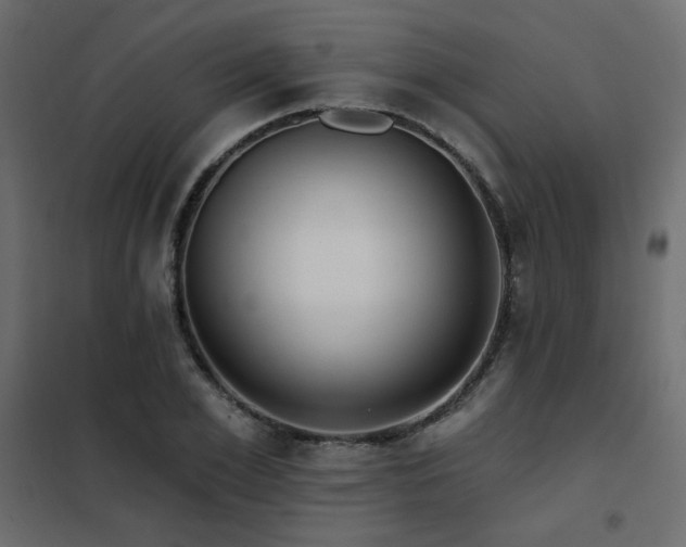 X0000102490981200808081324