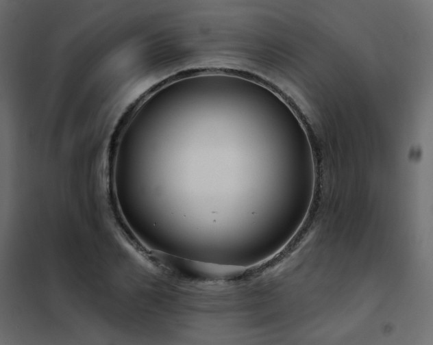 X0000102490982200808081324