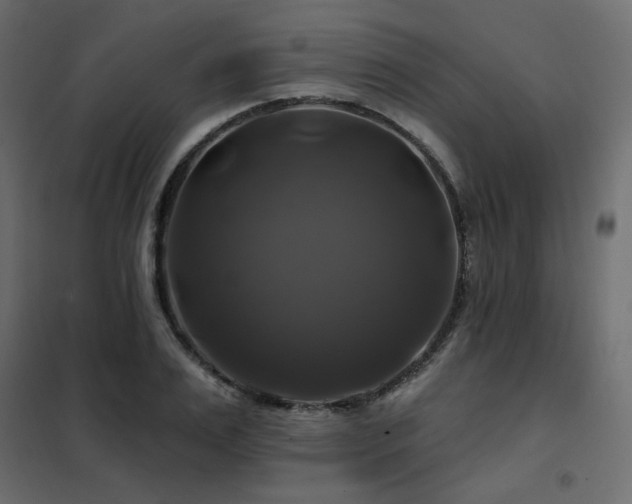 X0000102490983200808081324