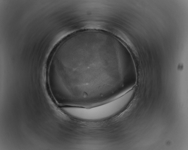 X0000102490984200808081324