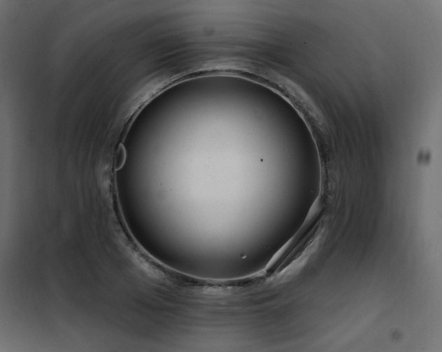 X0000102490985200808081324