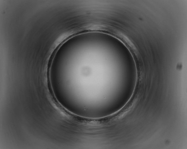 X0000102490986200808081324