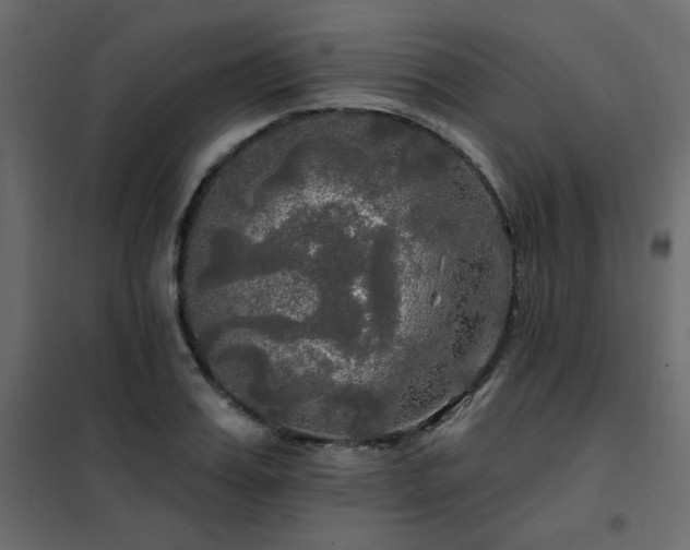 X0000102490987200808081324