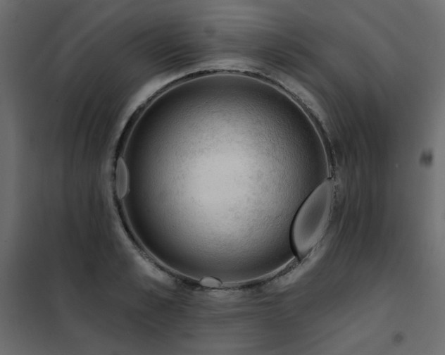 X0000102490989200808081324