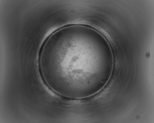 X0000102490990200808081324