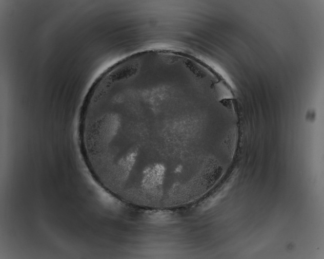 X0000102490991200808081324