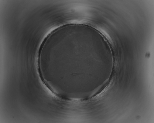 X0000102490992200808081324