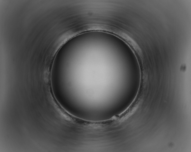 X0000102490993200808081324
