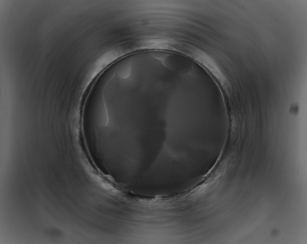 X0000102490994200808081324