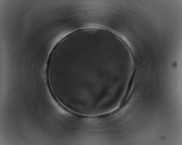 X0000102490995200808081324