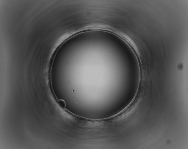 X0000102490997200808081324