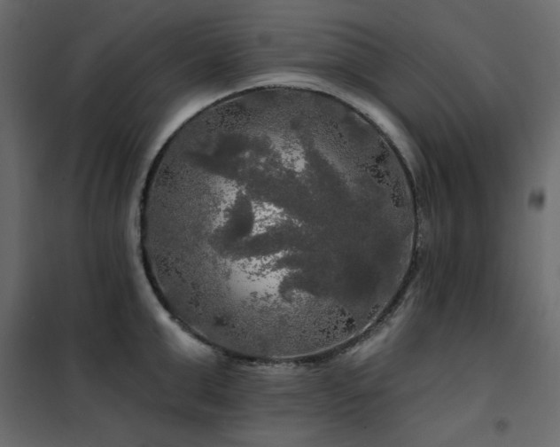 X0000102490999200808081324