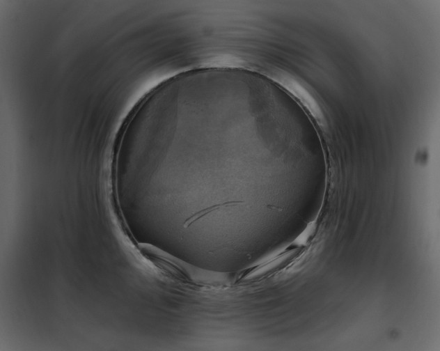 X0000102491000200808081324