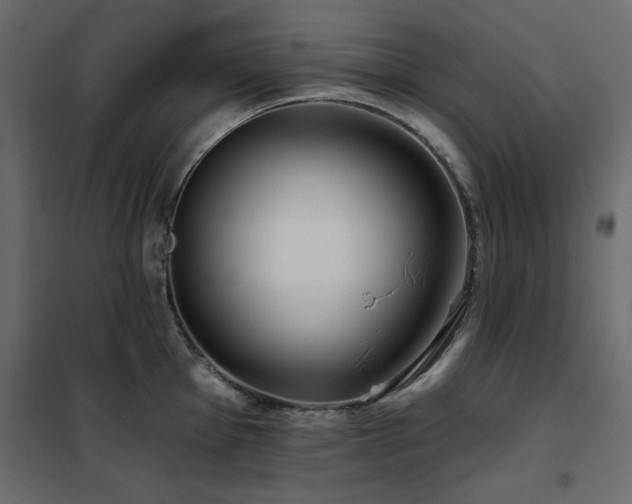 X0000102491001200808081324