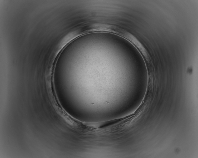 X0000102491002200808081324
