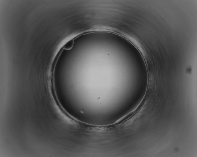 X0000102491003200808081324
