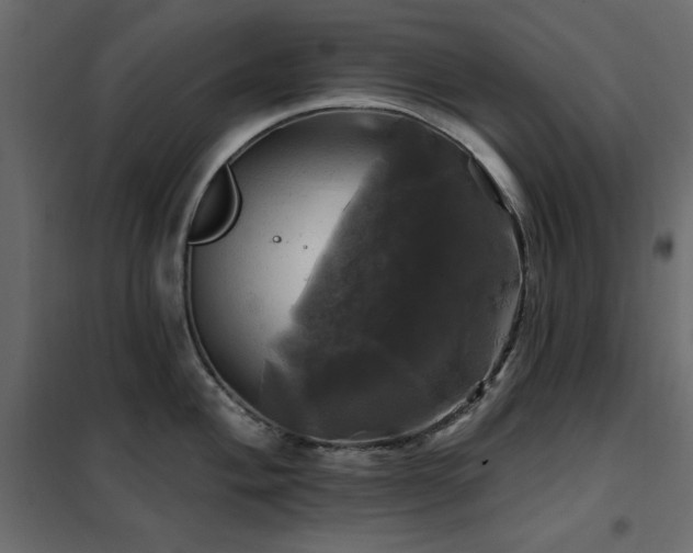 X0000102491004200808081324