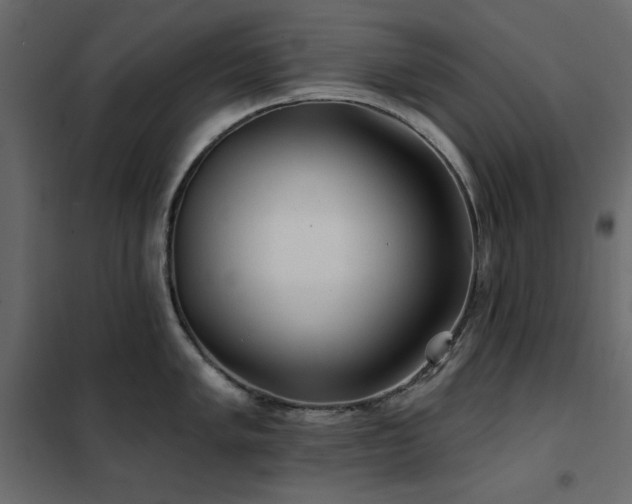 X0000102491005200808081324