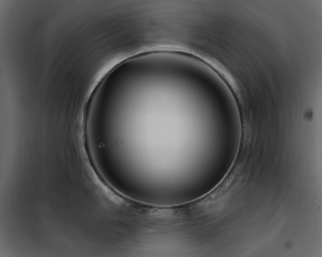 X0000102491006200808081324