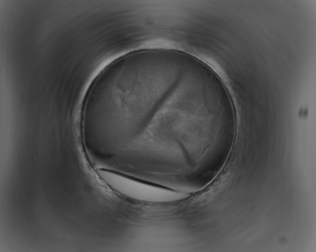 X0000102491008200808081324