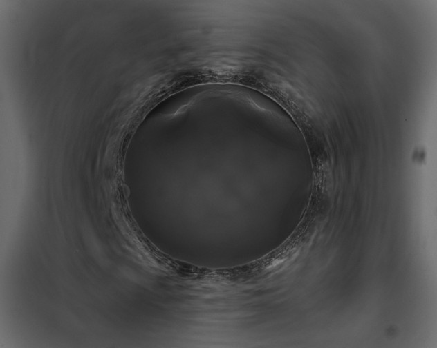 X0000102491009200808081323