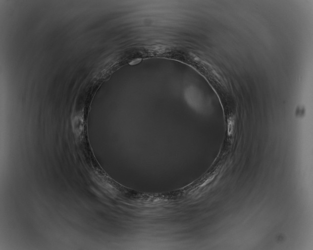 X0000102491011200808081323