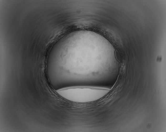 X0000102491012200808081323