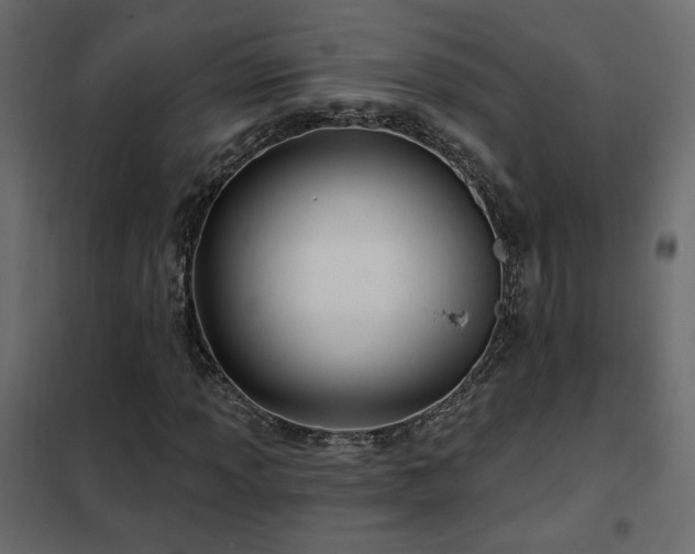 X0000102491013200808081323