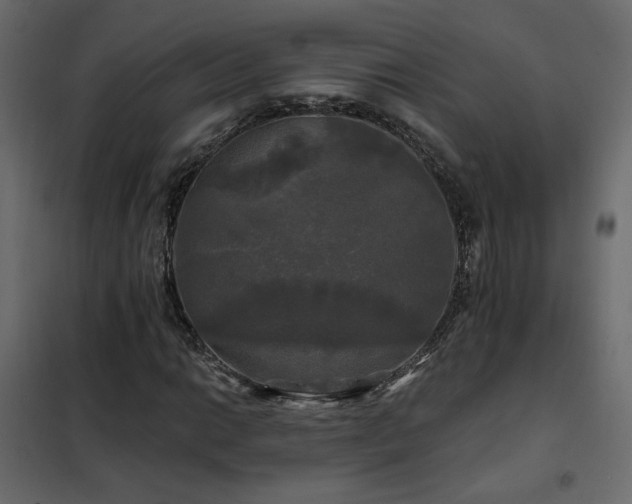 X0000102491014200808081323