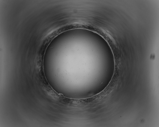 X0000102491015200808081323