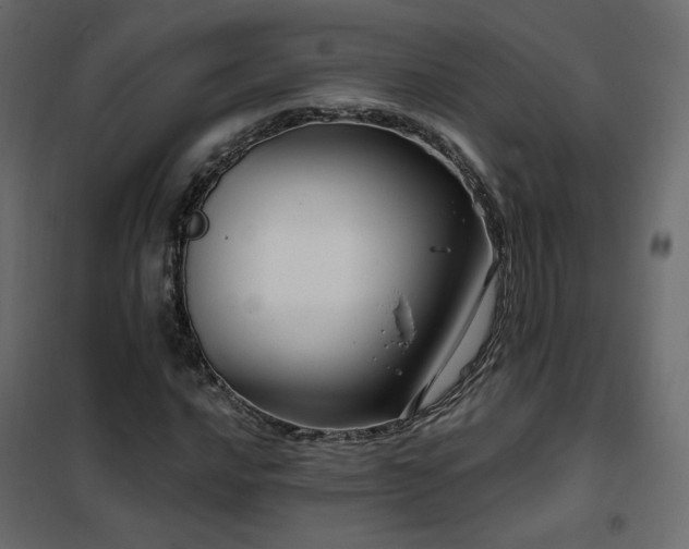 X0000102491016200808081323
