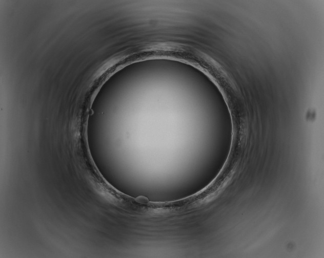 X0000102491017200808081323
