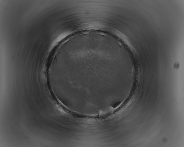 X0000102491018200808081323