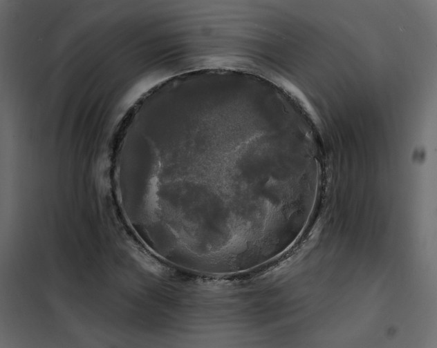 X0000102491019200808081323