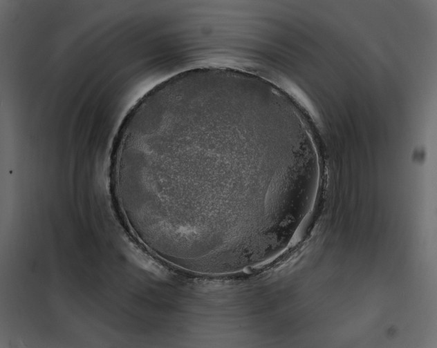 X0000102491020200808081323