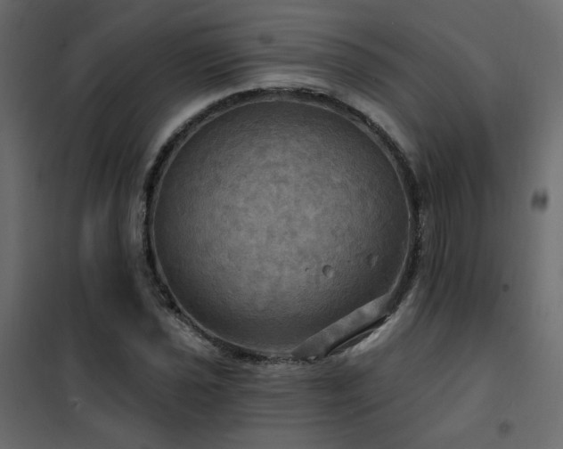 X0000102491021200808081323